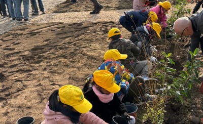 Festa dell’albero 2024