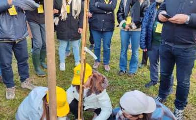 29esima edizione Festa dell’Albero 2024 a Spinea
