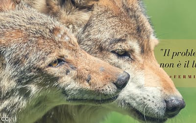 Ibridi: armi di distrazione di massa