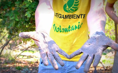 Parte “Naturalmente Volontari” di Legambiente per attivare la cittadinanza contro le minacce ambientali in Veneto