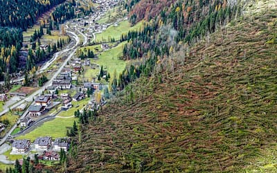 Dopo la tempesta Vaia, Legambiente lancia il campo #VolontarixFeltre per aiutare i territori colpiti