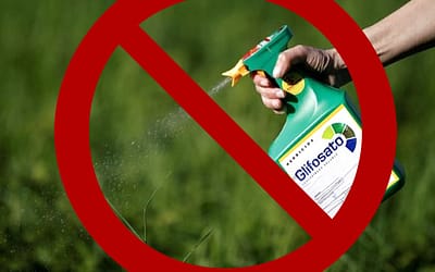 Prosecco al Glifosato per la provincia di Pordenone?