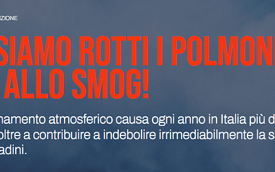 Ci siamo rotti i polmoni. No allo smog!