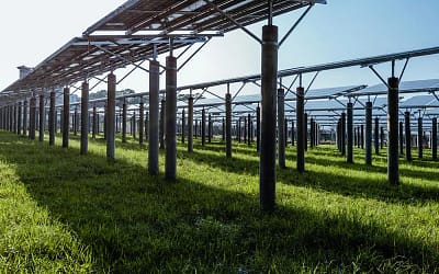 Lo sviluppo dell’agrivoltaico è un’opportunità, non un rischio