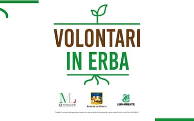 Volontari in erba per la transizione ecologica intergenerazionale