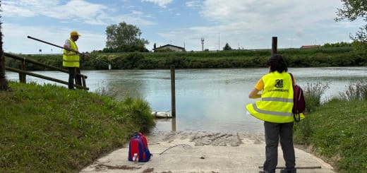 Depurazione insufficiente e Pfas onnipresenti: resta preoccupante lo stato di salute del Livenza