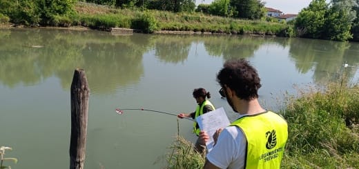 Sile: non preoccupa la depurazione, resta l’allerta pesticidi e pfas